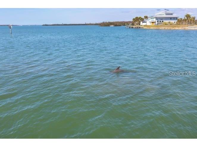 1906 Mississippi Avenue Englewood FL 34224 - LEMON BAY D6145472 image19