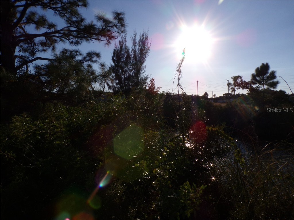 1906 NW 23rd Avenue Cape Coral FL 33993 - CHASE CANAL C7517949 image11