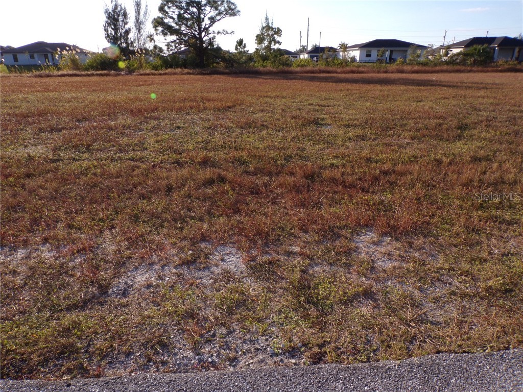 1906 NW 23rd Avenue Cape Coral FL 33993 - CHASE CANAL C7517949 image5