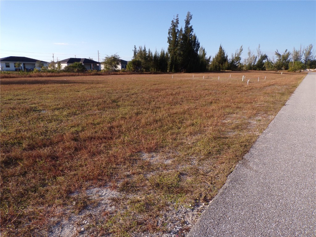 1906 NW 23rd Avenue Cape Coral FL 33993 - CHASE CANAL C7517949 image7