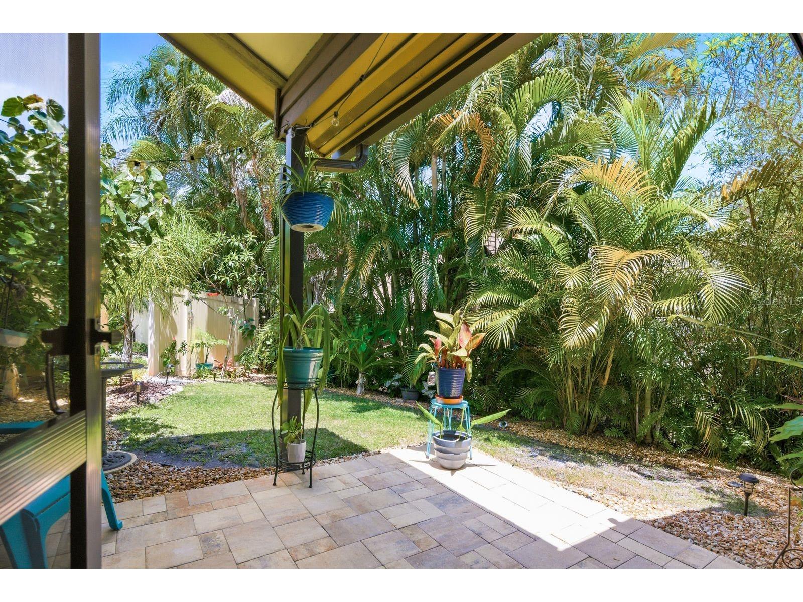 1906 Westley Street Safety Harbor FL 34695 TB8501046 image39