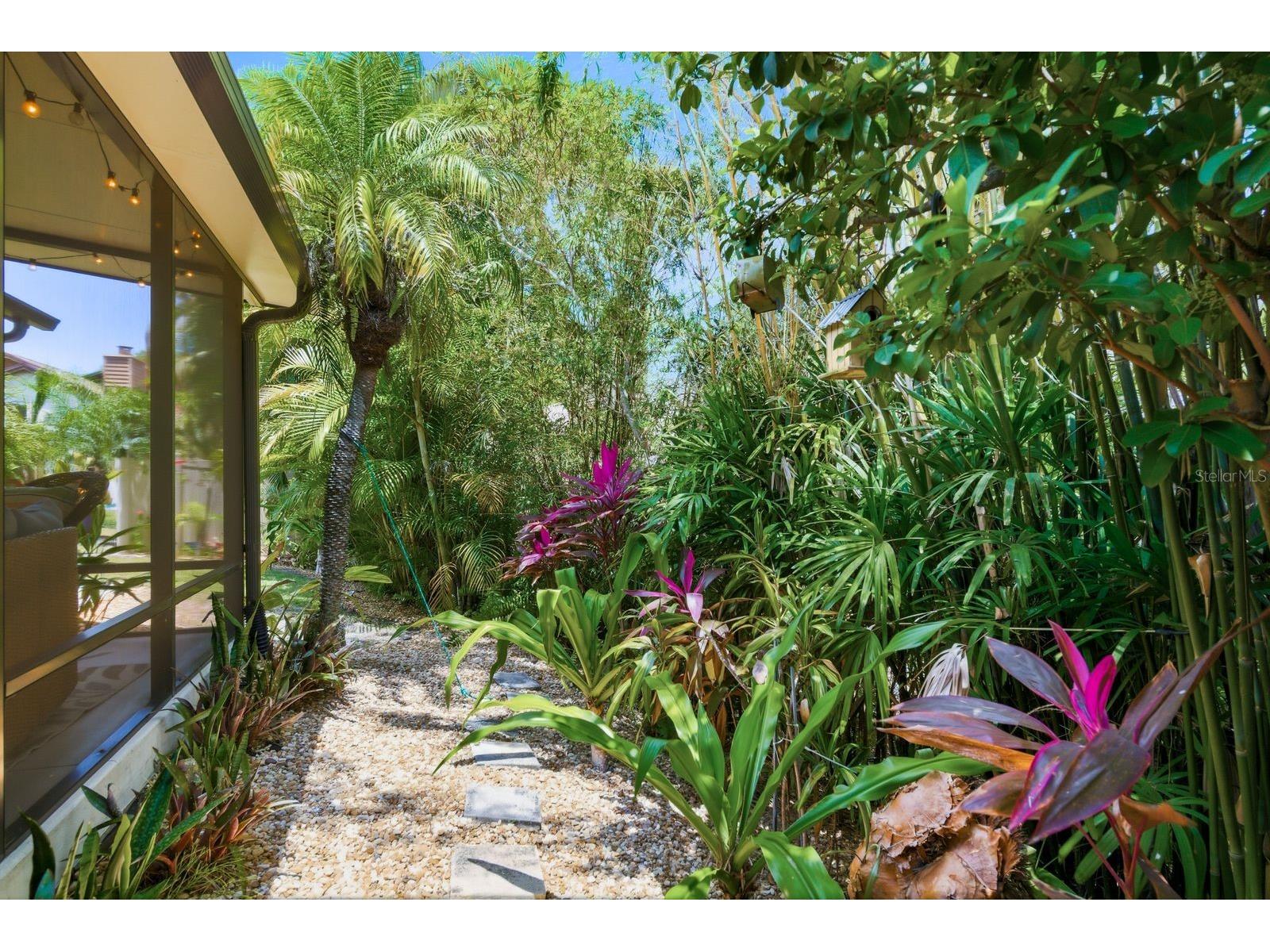 1906 Westley Street Safety Harbor FL 34695 TB8501046 image42