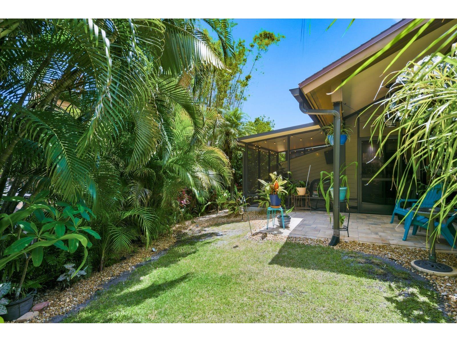 1906 Westley Street Safety Harbor FL 34695 TB8501046 image45