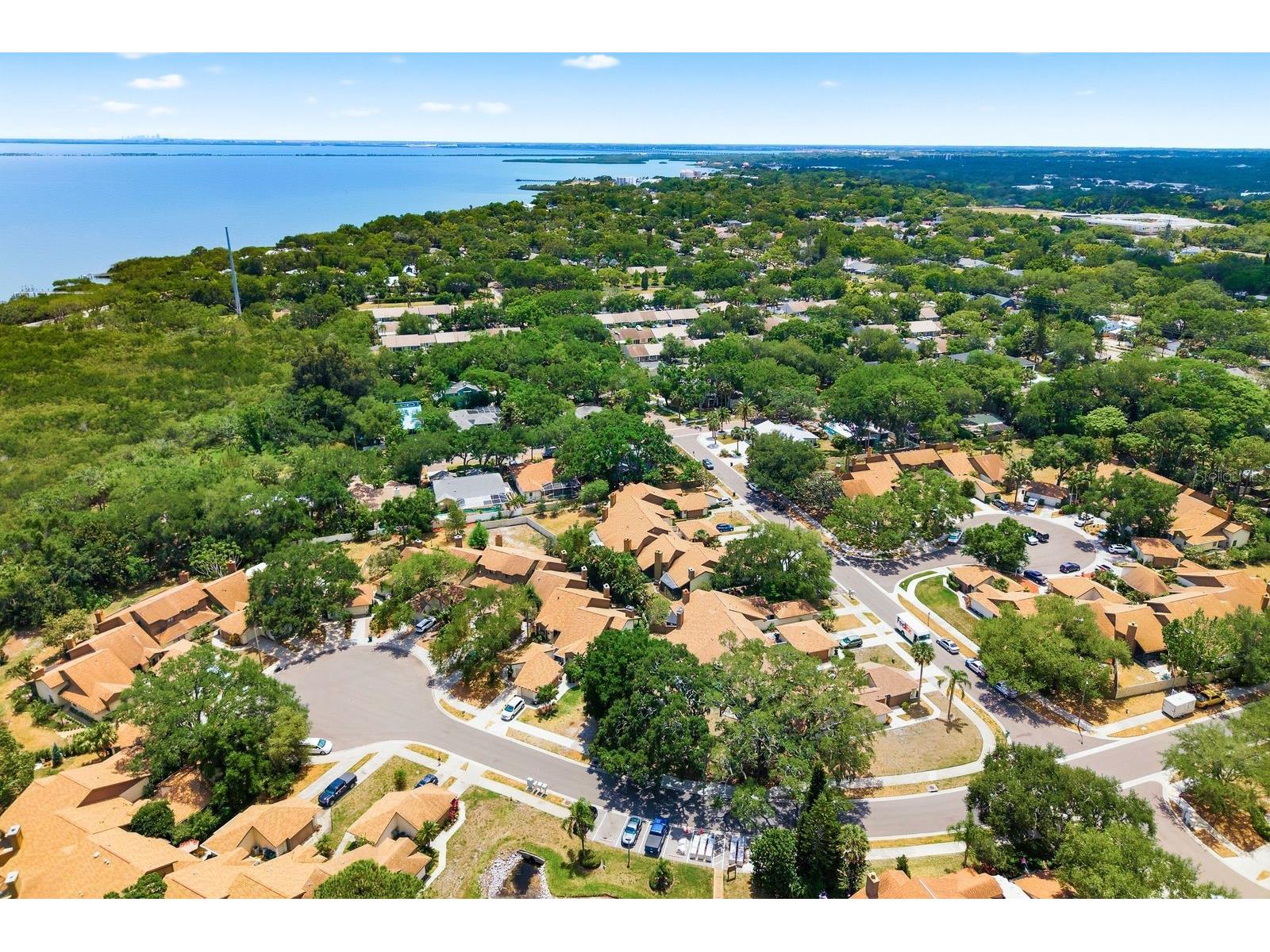 1906 Westley Street Safety Harbor FL 34695 TB8501046 image52