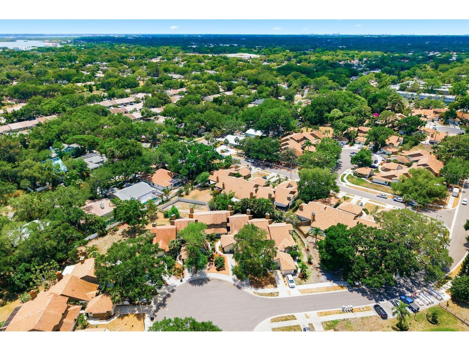 1906 Westley Street Safety Harbor FL 34695 TB8501046 image53