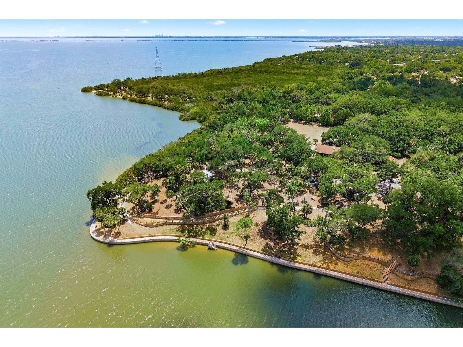 1906 Westley Street Safety Harbor FL 34695 TB8501046 image57