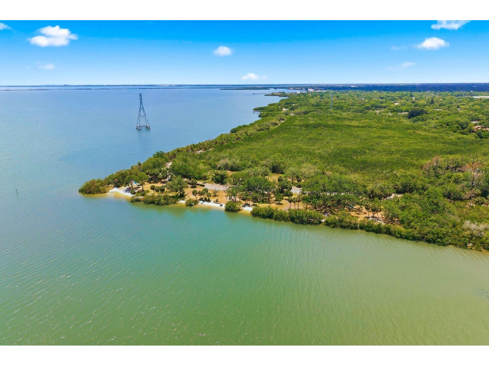 1906 Westley Street Safety Harbor FL 34695 TB8501046 image59