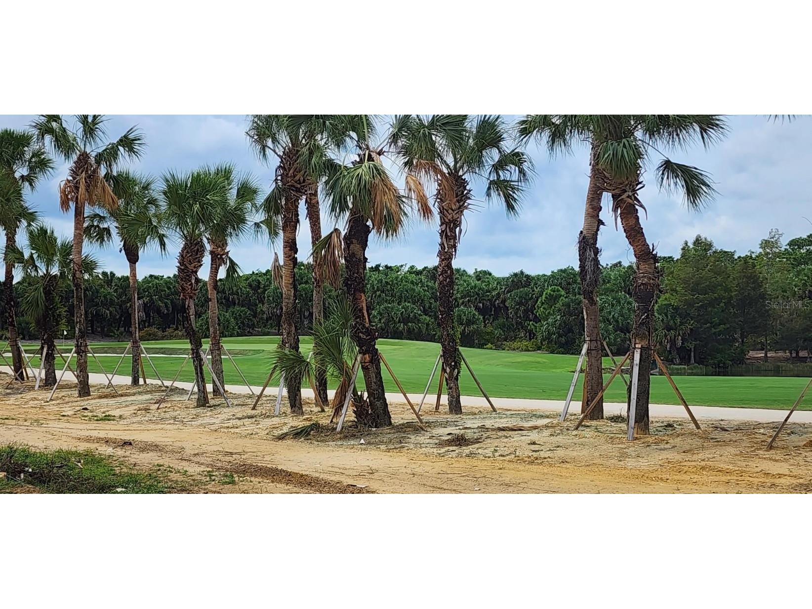 19062 Via Messina Way Miromar Lakes FL 33913 TB8401538 image15