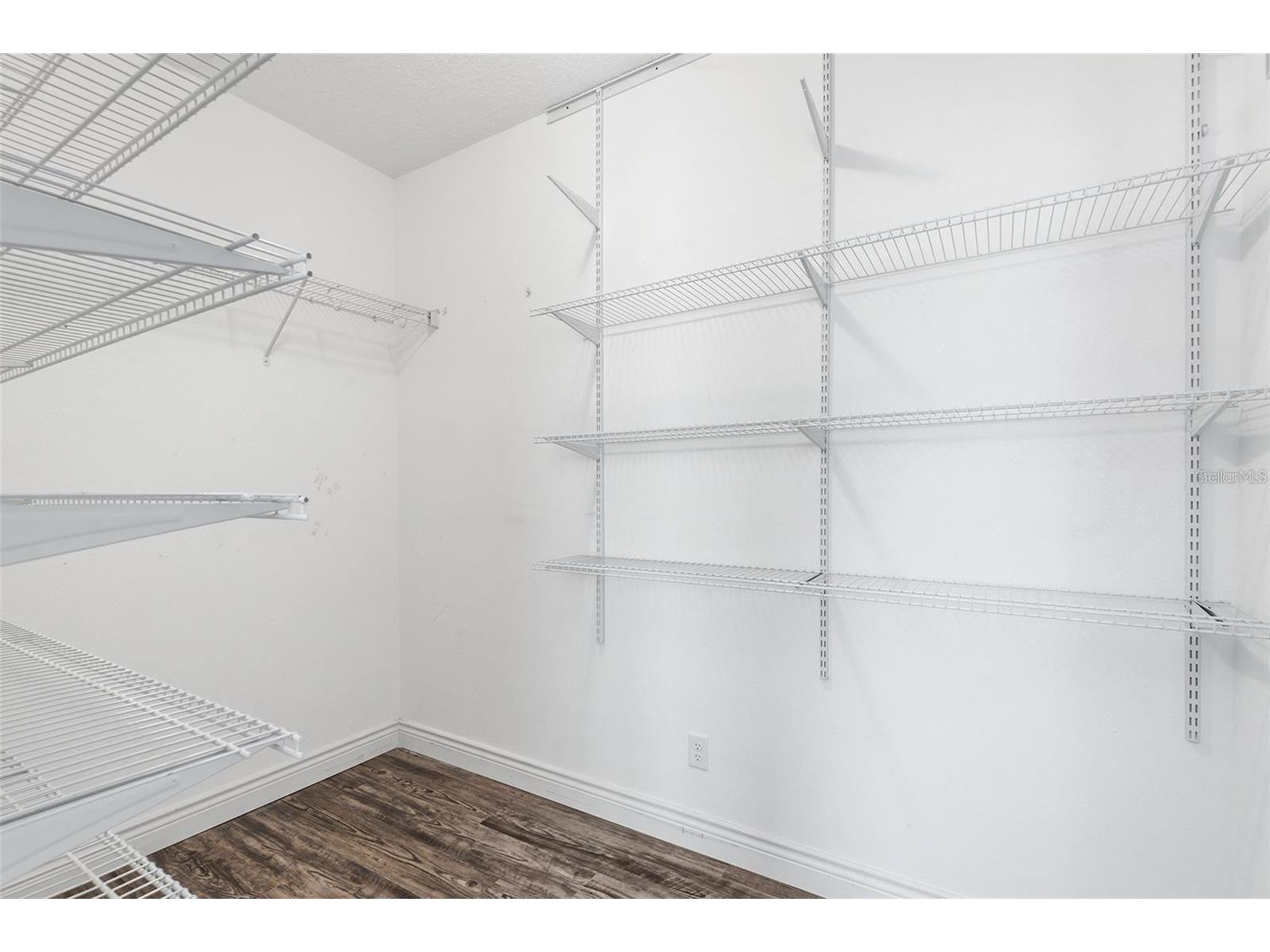 19064 Roseate Drive Lutz FL 33558 O6408575 image10