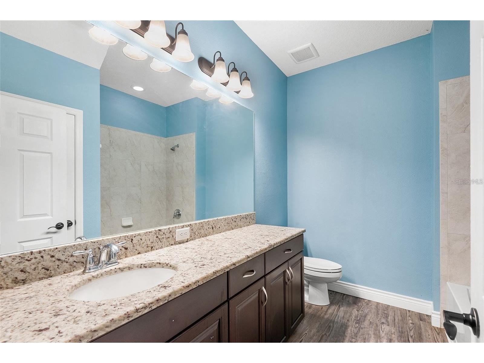 19064 Roseate Drive Lutz FL 33558 O6408575 image12