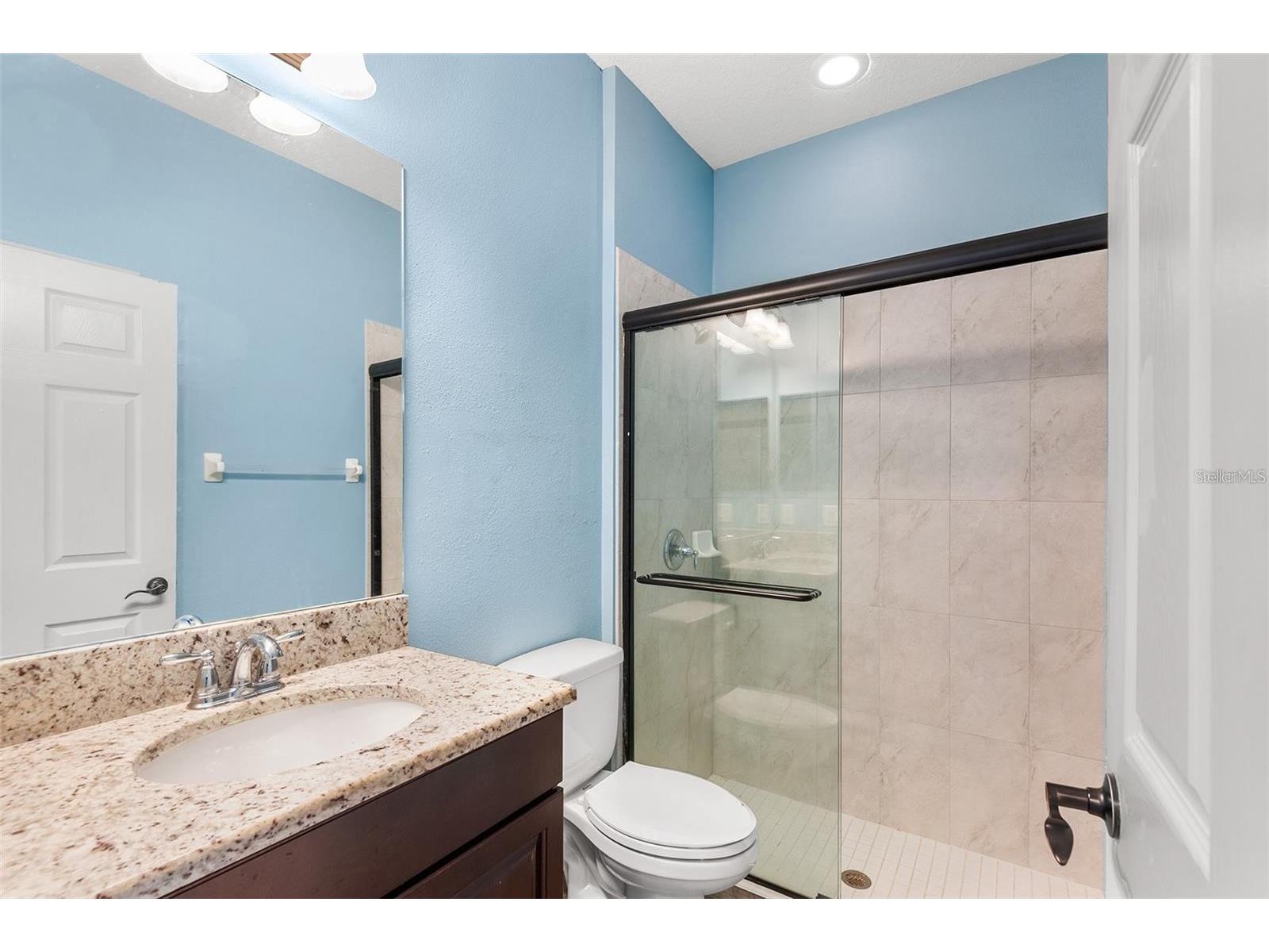 19064 Roseate Drive Lutz FL 33558 O6408575 image14
