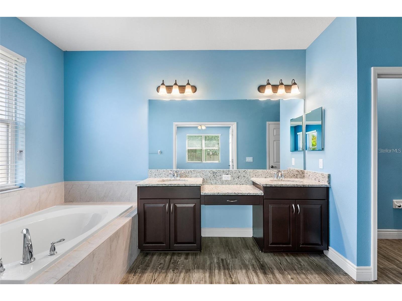 19064 Roseate Drive Lutz FL 33558 O6408575 image8