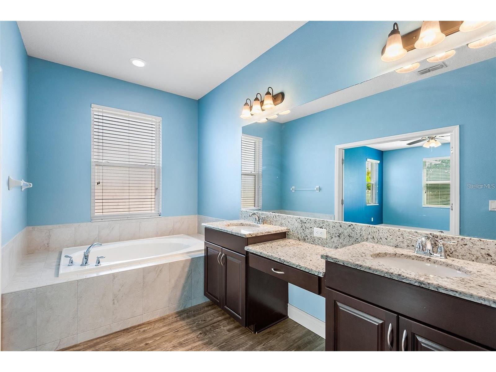 19064 Roseate Drive Lutz FL 33558 O6408575 image9