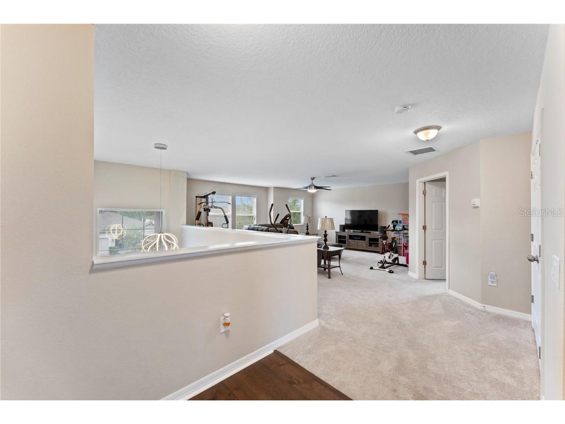 19065 Malinche Loop Spring Hill FL 34610 TB8308807 image34