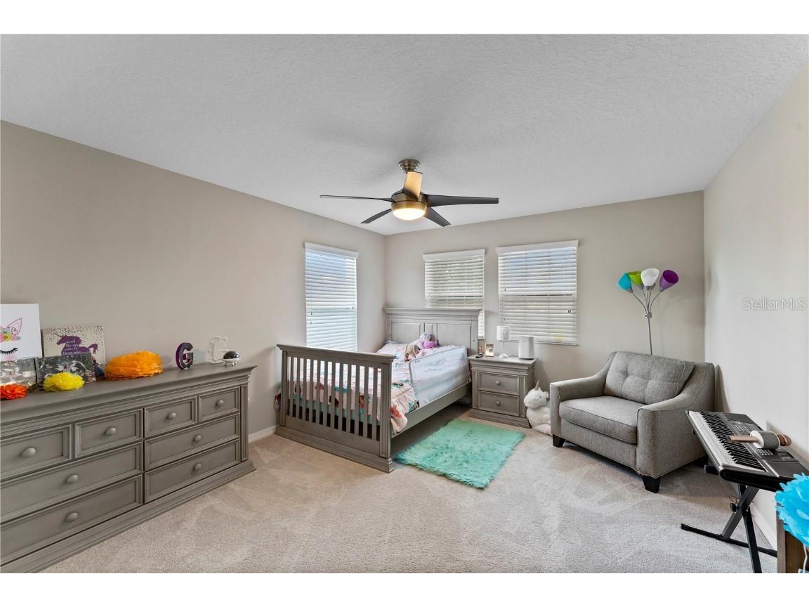 19065 Malinche Loop Spring Hill FL 34610 TB8308807 image42