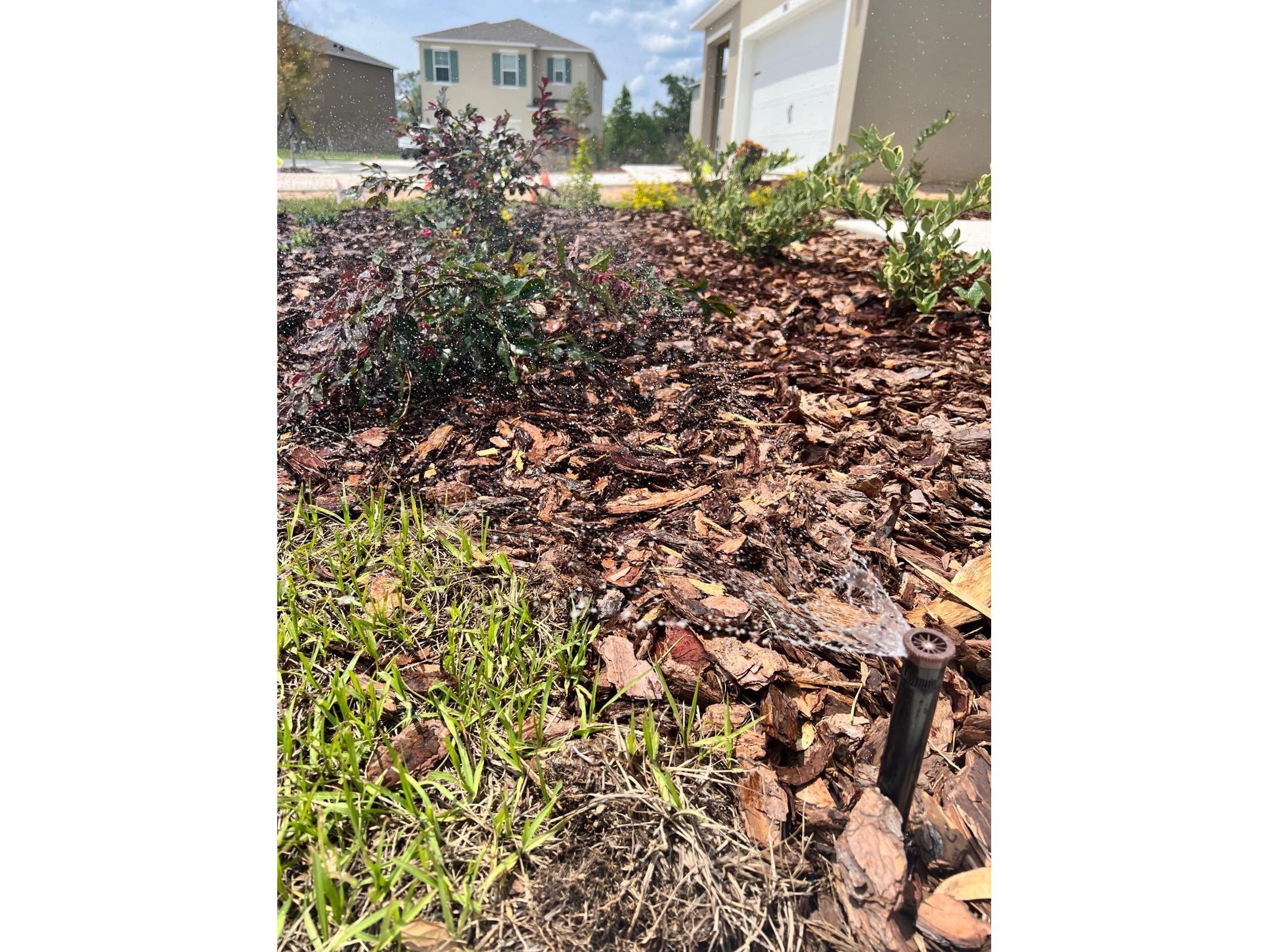 1907 Elkridge Street Davenport FL 33837 O6406778 image10