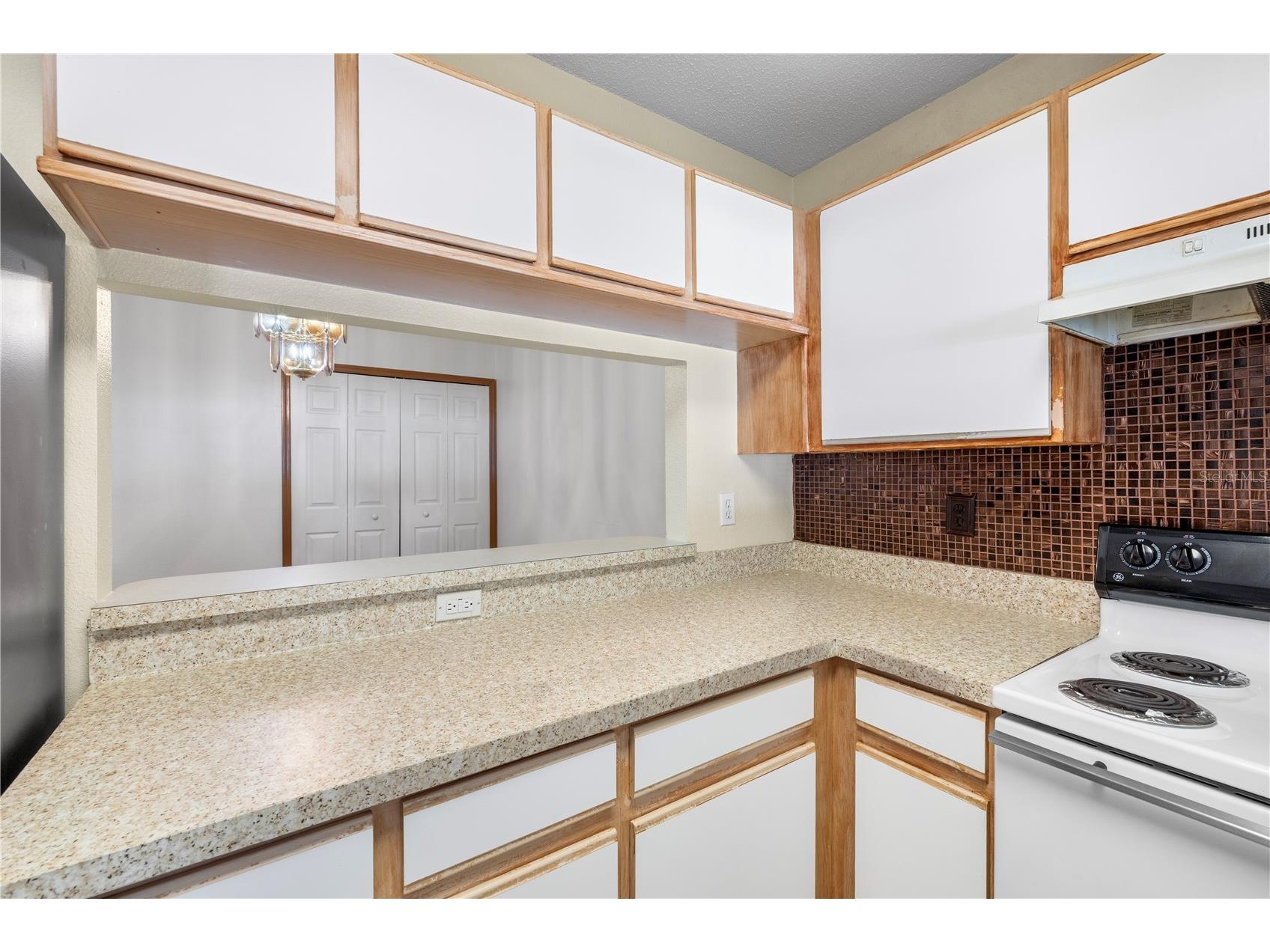 1907 Fluorshire Drive Brandon FL 33511 W7886649 image13