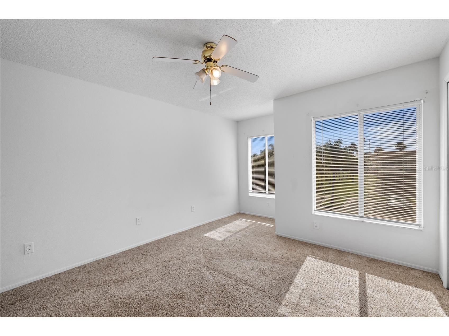 1907 Fluorshire Drive Brandon FL 33511 W7886649 image25