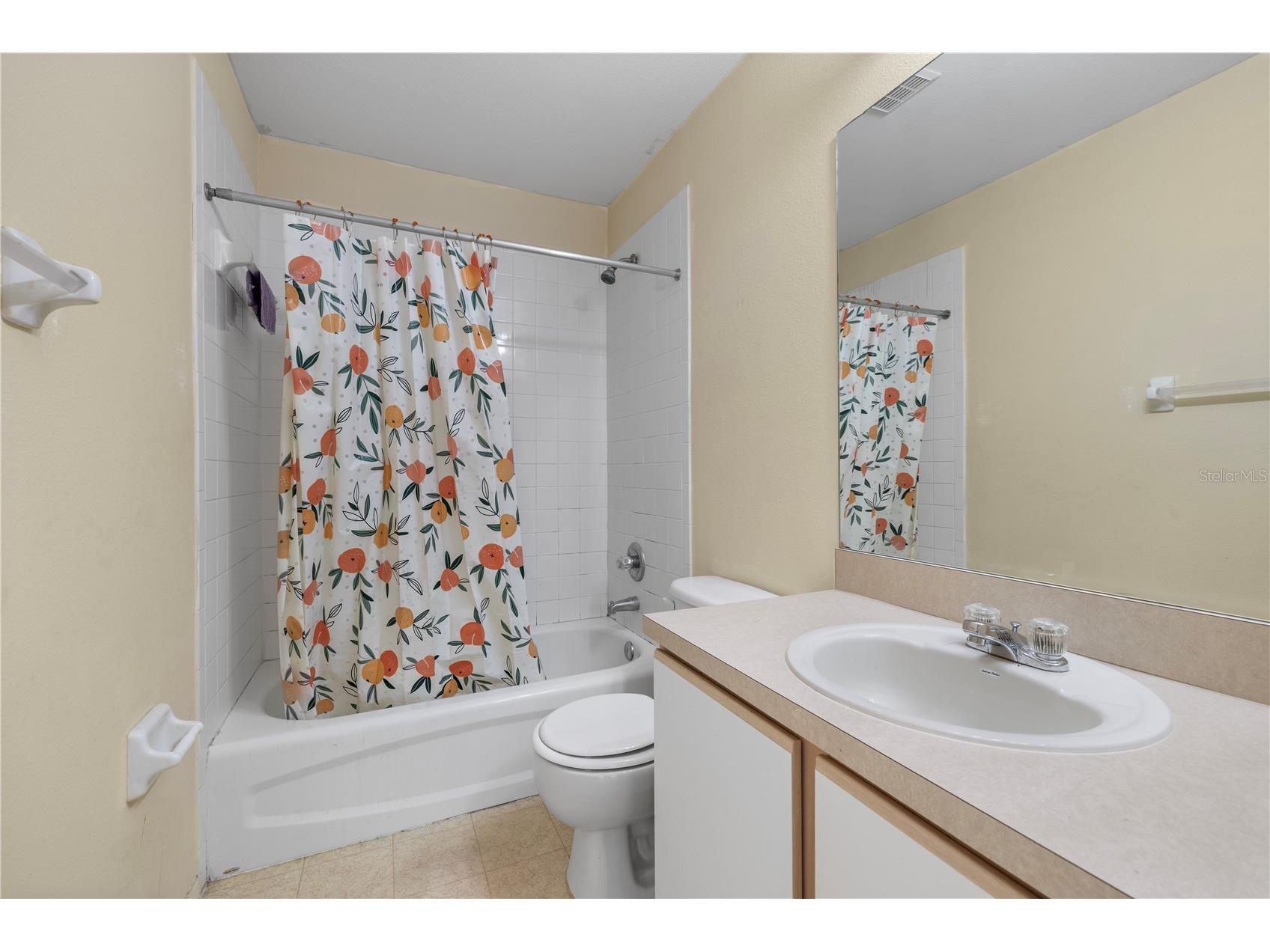1907 Fluorshire Drive Brandon FL 33511 W7886649 image27