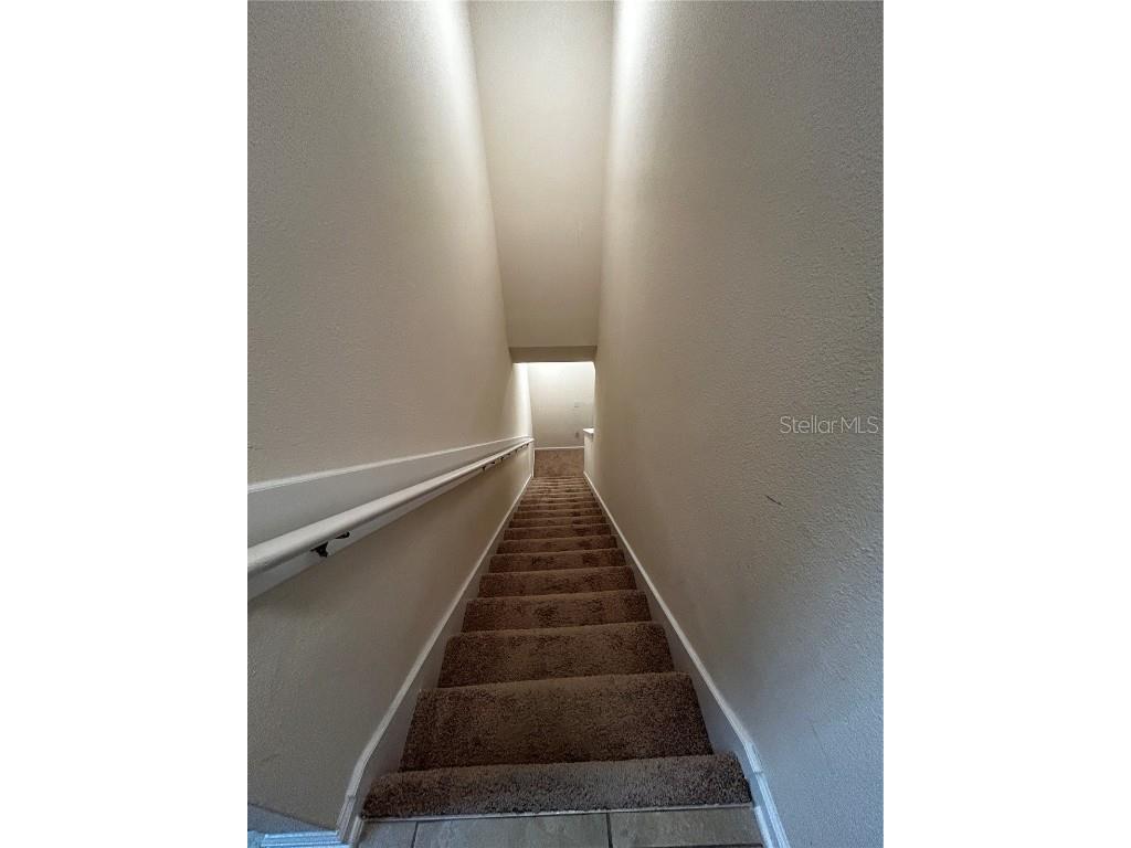 1907 Golden Lake Loop Saint Augustine FL 32084 NS1086675 image18