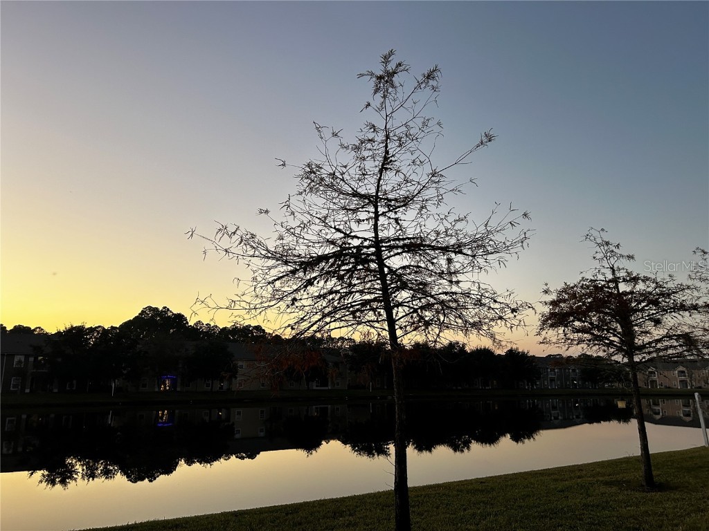 1907 Golden Lake Loop Saint Augustine FL 32084 NS1086675 image4