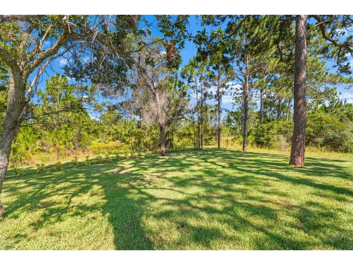 1907 Positano Drive Malabar FL 32950 S5134403 image65