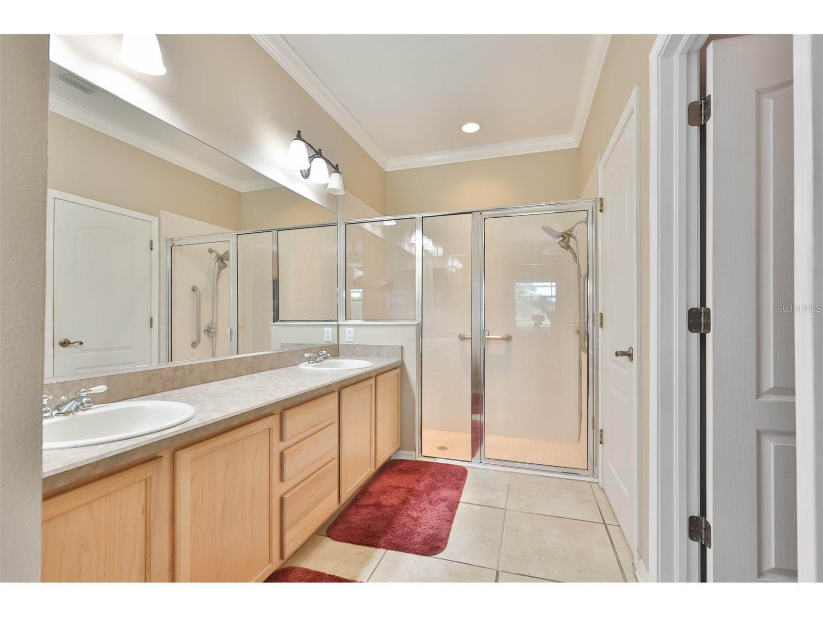 1907 Sterling Glen Court Sun City Center FL 33573 TB8508330 image32