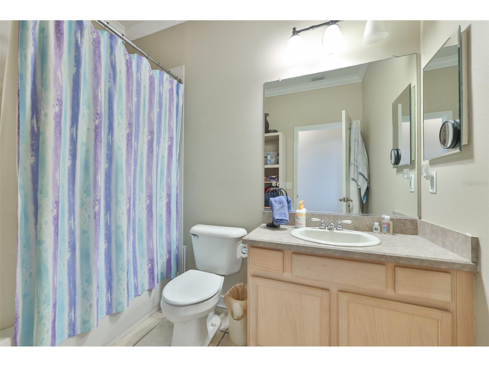 1907 Sterling Glen Court Sun City Center FL 33573 TB8508330 image36