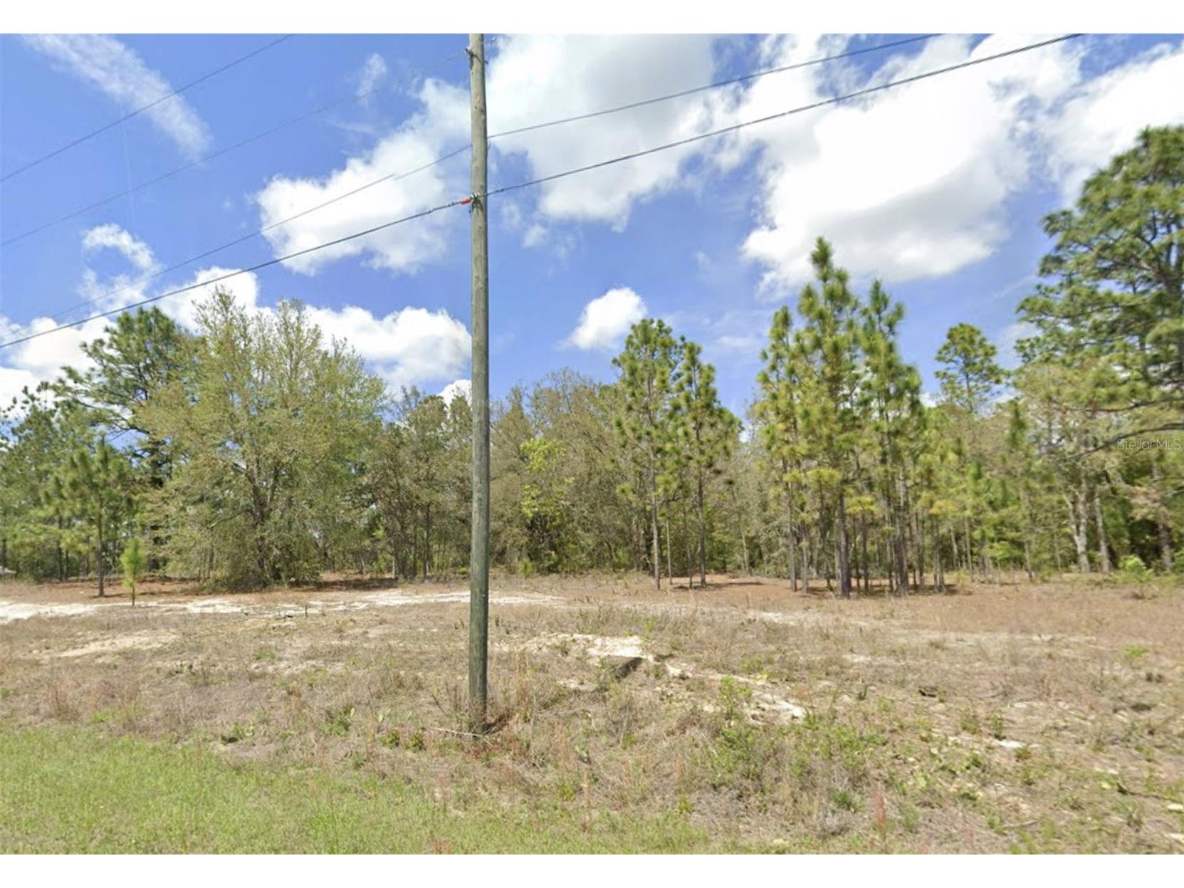 1907 W Corrine Street Dunnellon FL 34434 G5112619 image2