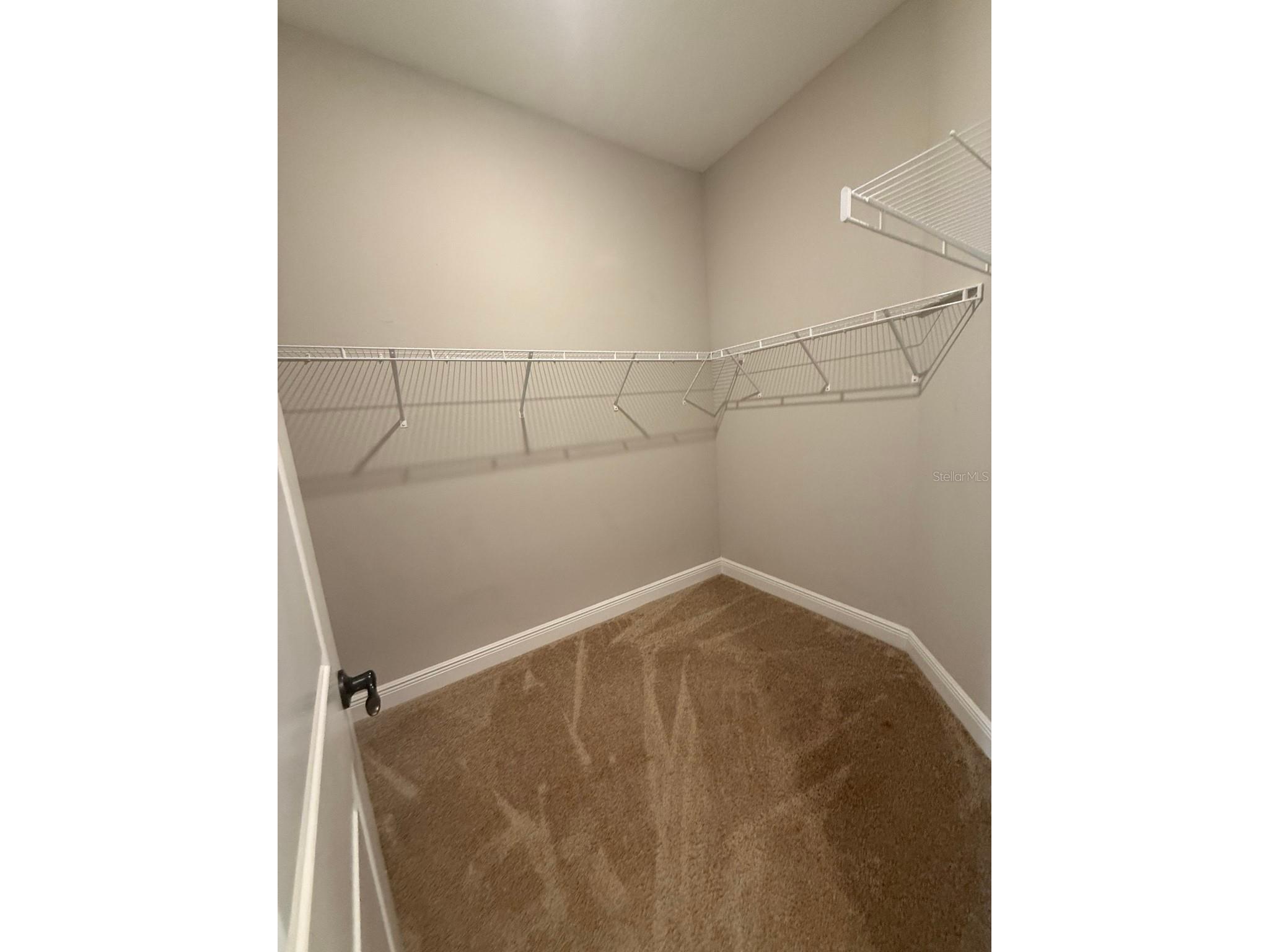 19071 Blueleaf Street Orlando FL 32827 O6416415 image7