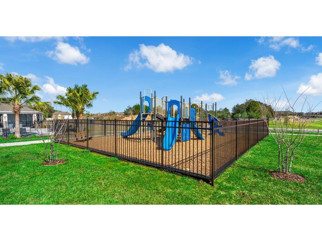 1908 Fan Palm Drive Davenport FL 33897 O6412631 image51
