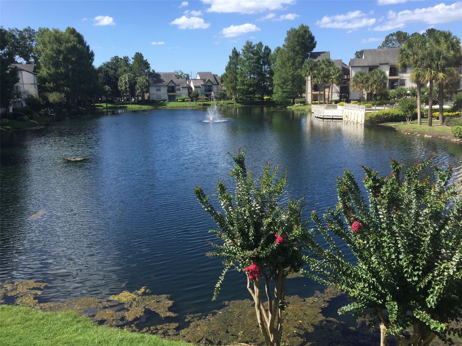 1908 Lake Atriums Circle #14 Orlando FL 32839 O6404030 image10