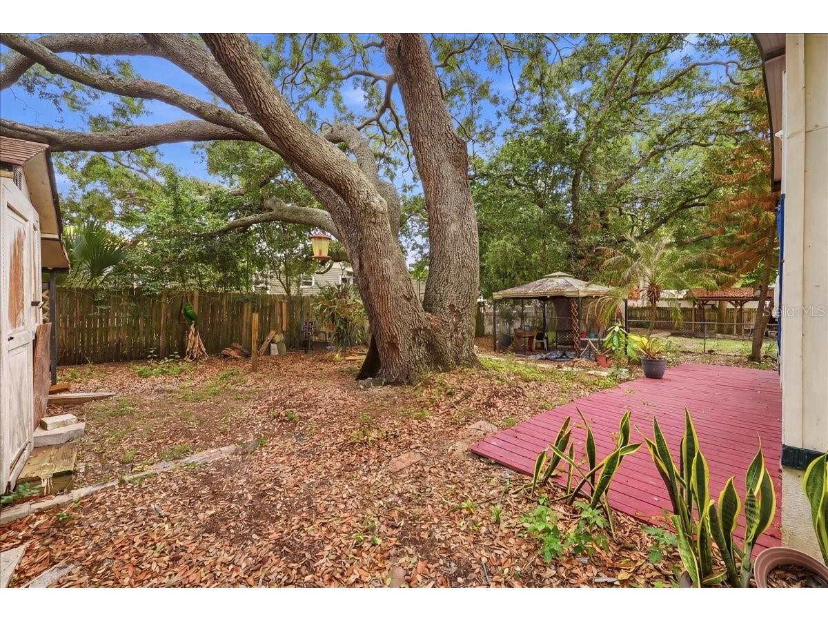 1908 Regina Drive Lake Alfred FL 33850 L4961222 image34