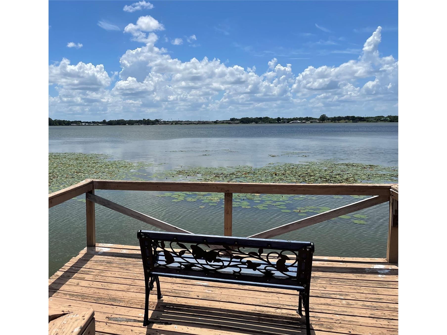 1908 Regina Drive Lake Alfred FL 33850 L4961222 image48