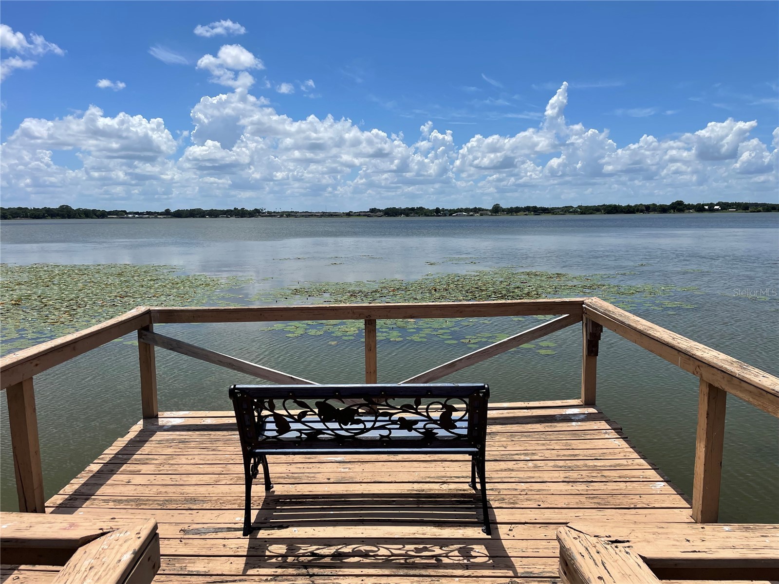 1908 Regina Drive Lake Alfred FL 33850 L4961222 image49