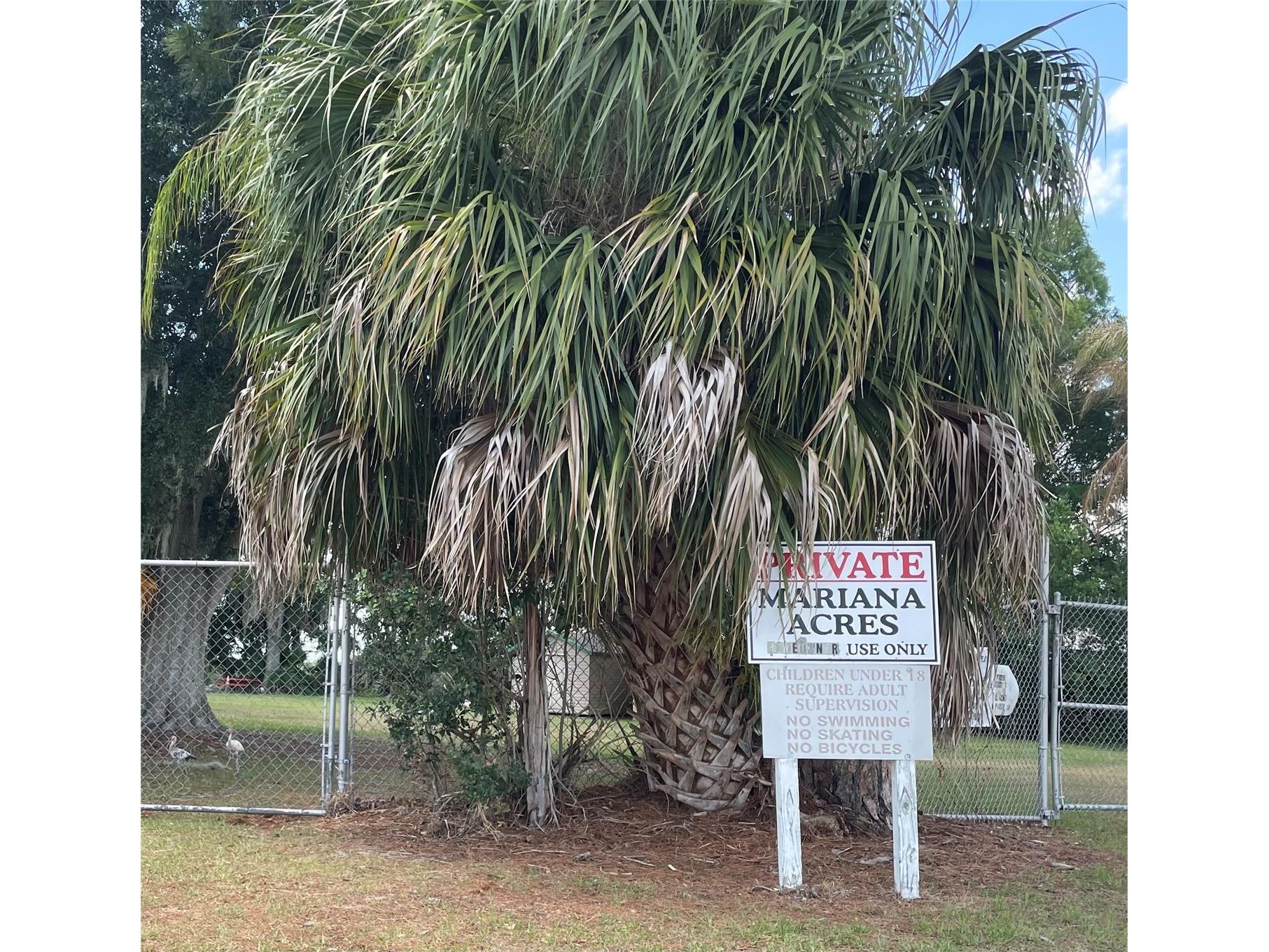 1908 Regina Drive Lake Alfred FL 33850 L4961222 image50