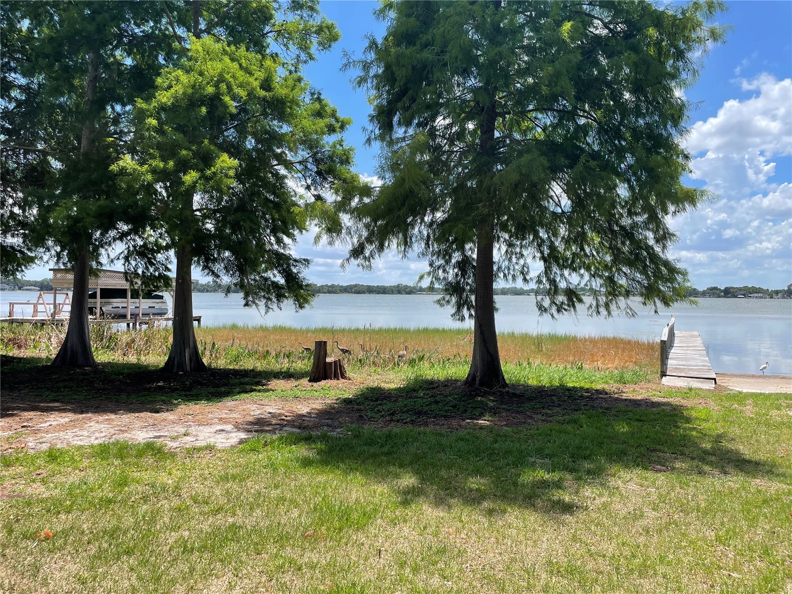 1908 Regina Drive Lake Alfred FL 33850 L4961222 image56