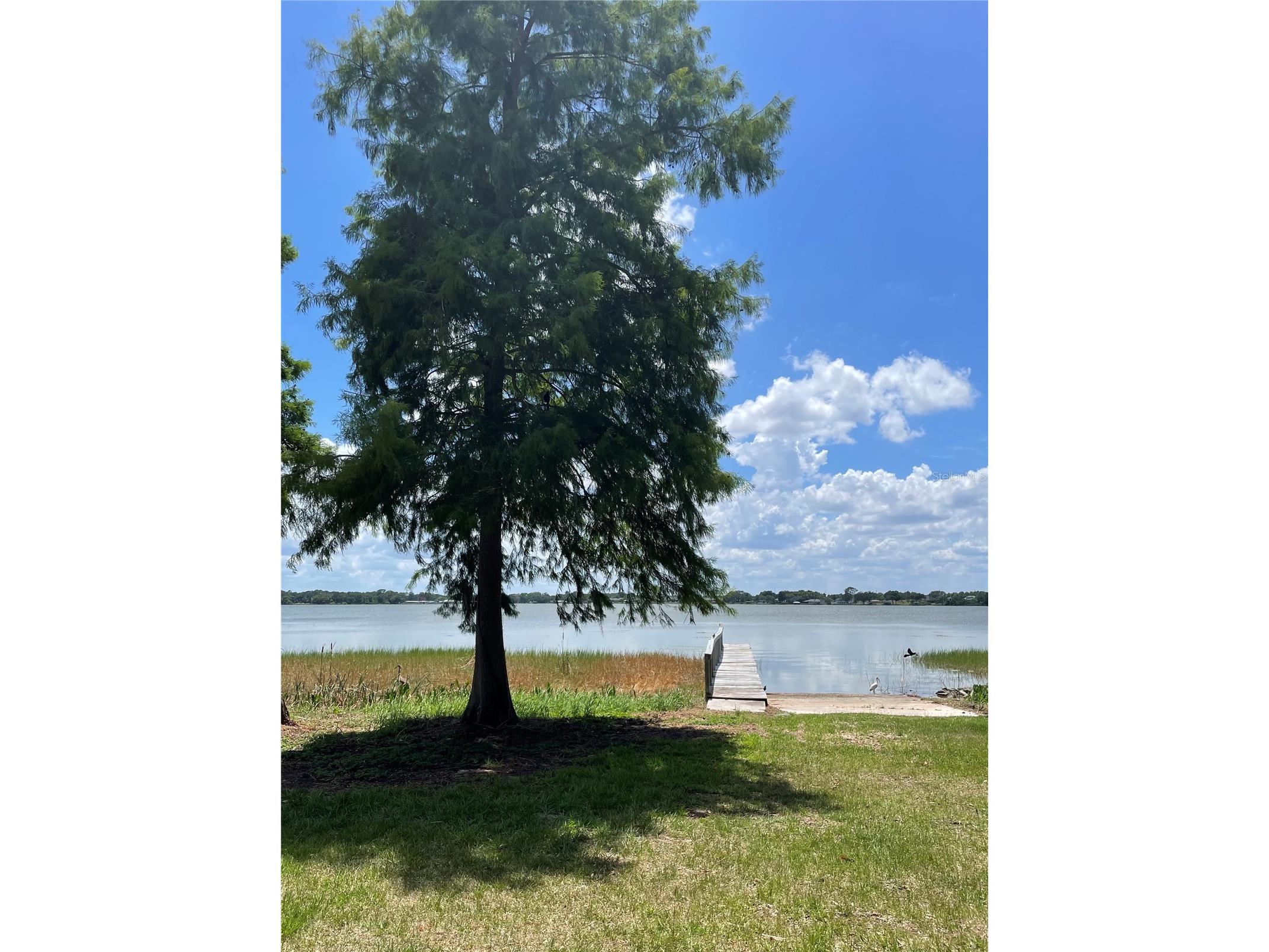1908 Regina Drive Lake Alfred FL 33850 L4961222 image57