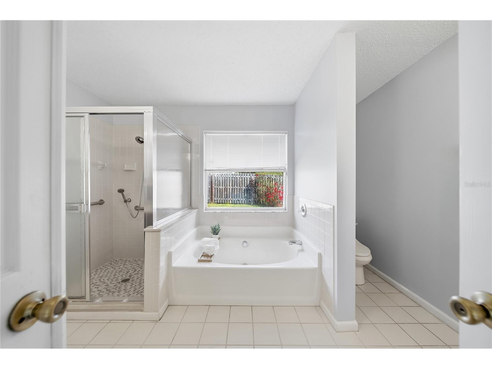 1908 River Crossing Drive Valrico FL 33596 TB8483817 image33