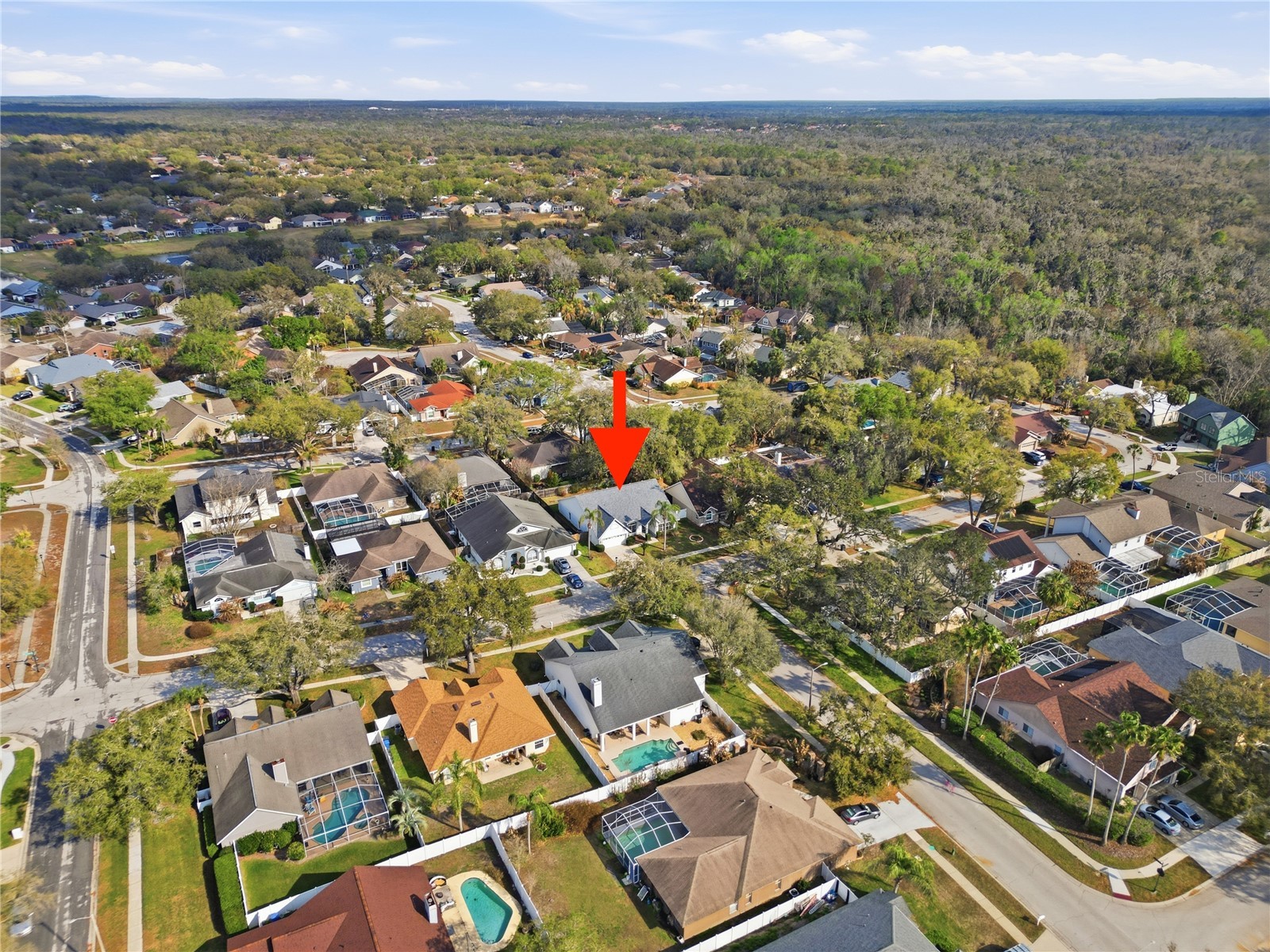 1908 River Crossing Drive Valrico FL 33596 TB8483817 image40