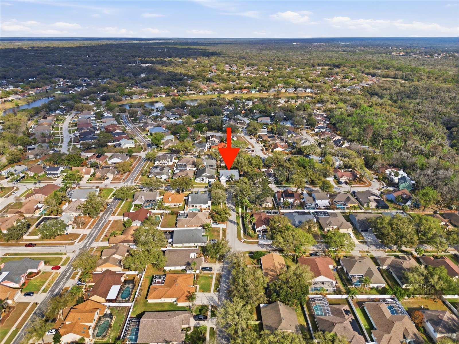 1908 River Crossing Drive Valrico FL 33596 TB8483817 image41