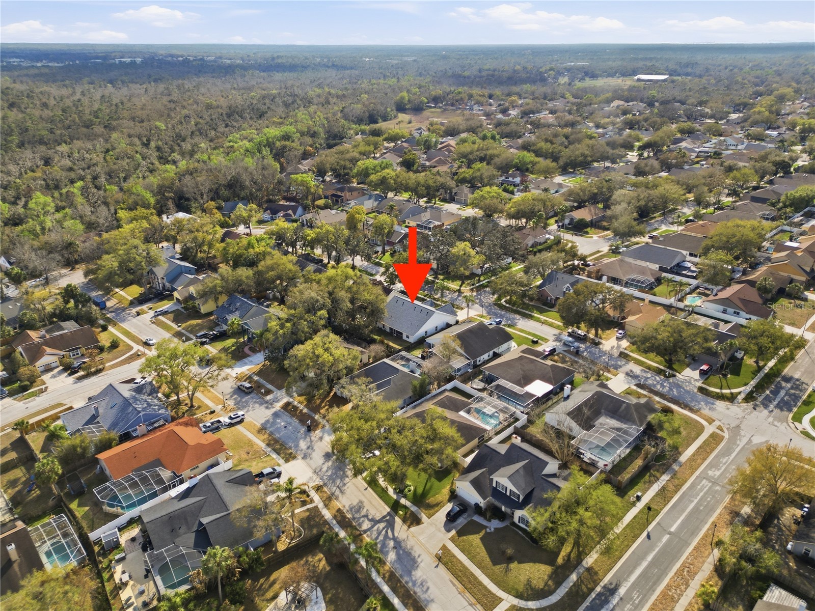 1908 River Crossing Drive Valrico FL 33596 TB8483817 image42