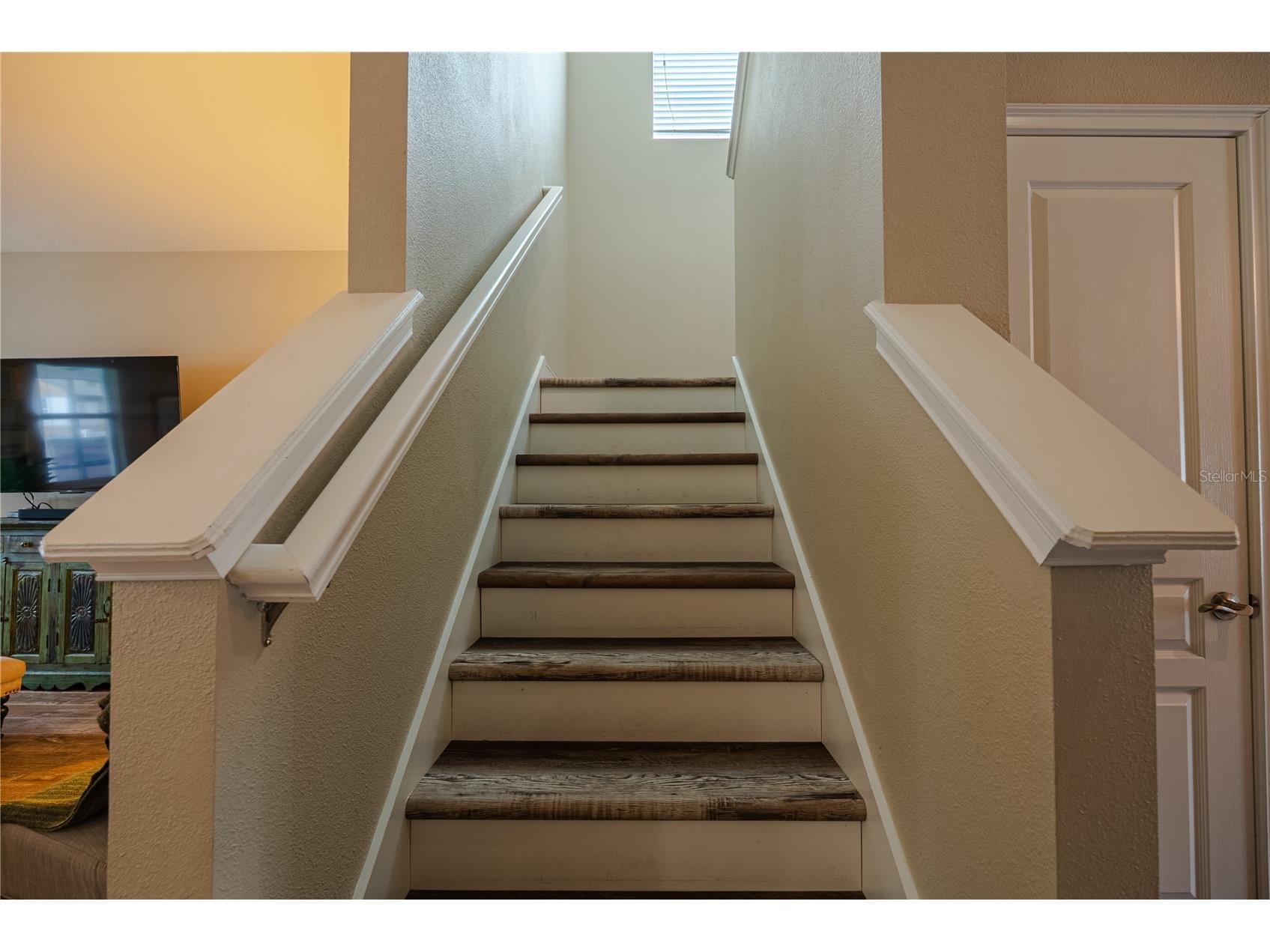 1908 W Nassau Street Tampa FL 33607 TB8519712 image35