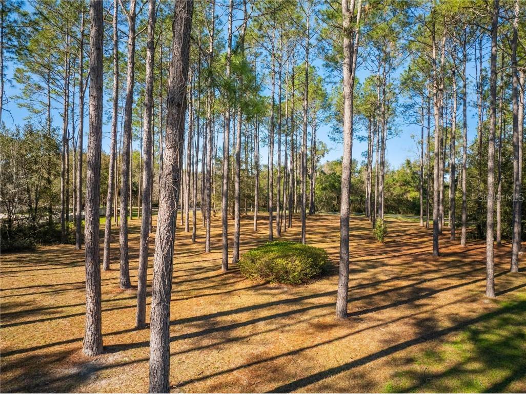 19083 SW 21st Place Newberry FL 32669 GC524438 image15