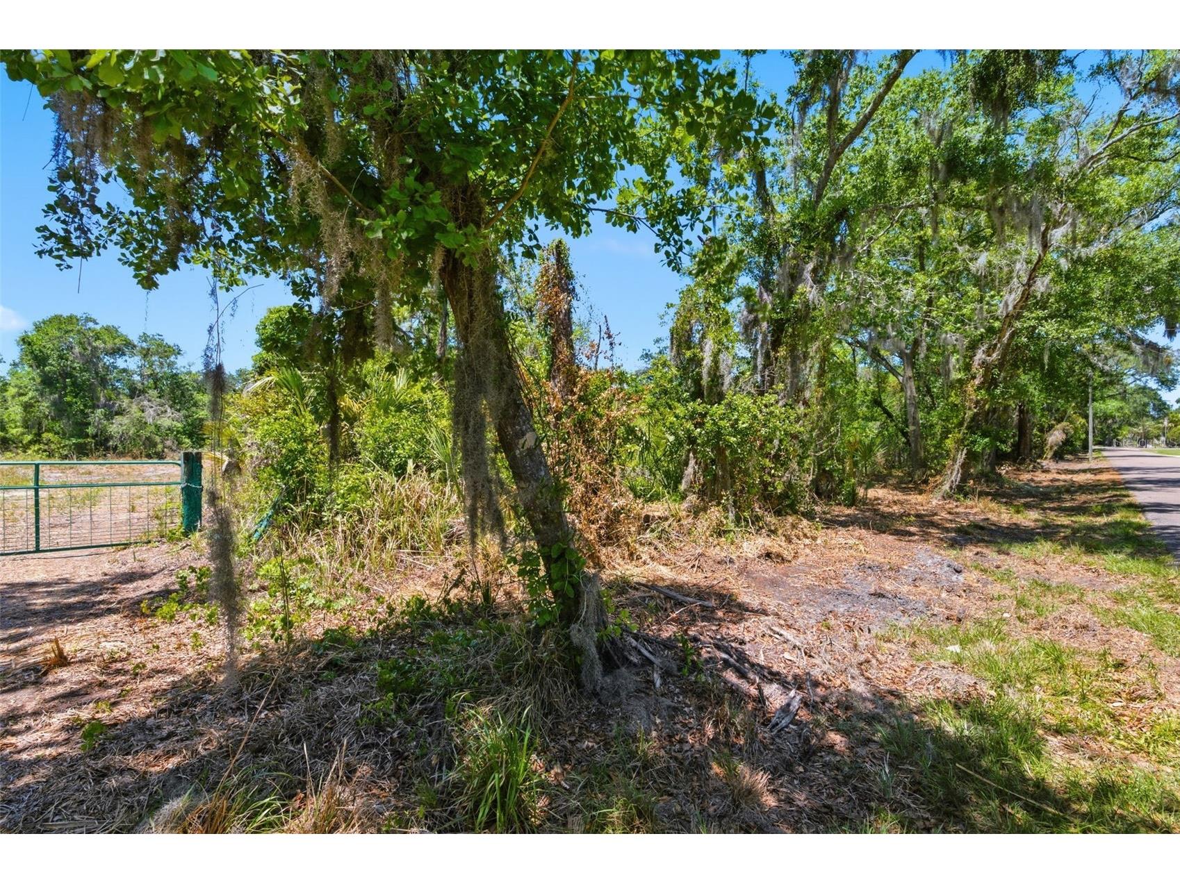 19084 Red Bird Lane #LOT 1 Lithia FL 33547 TB8499517 image5