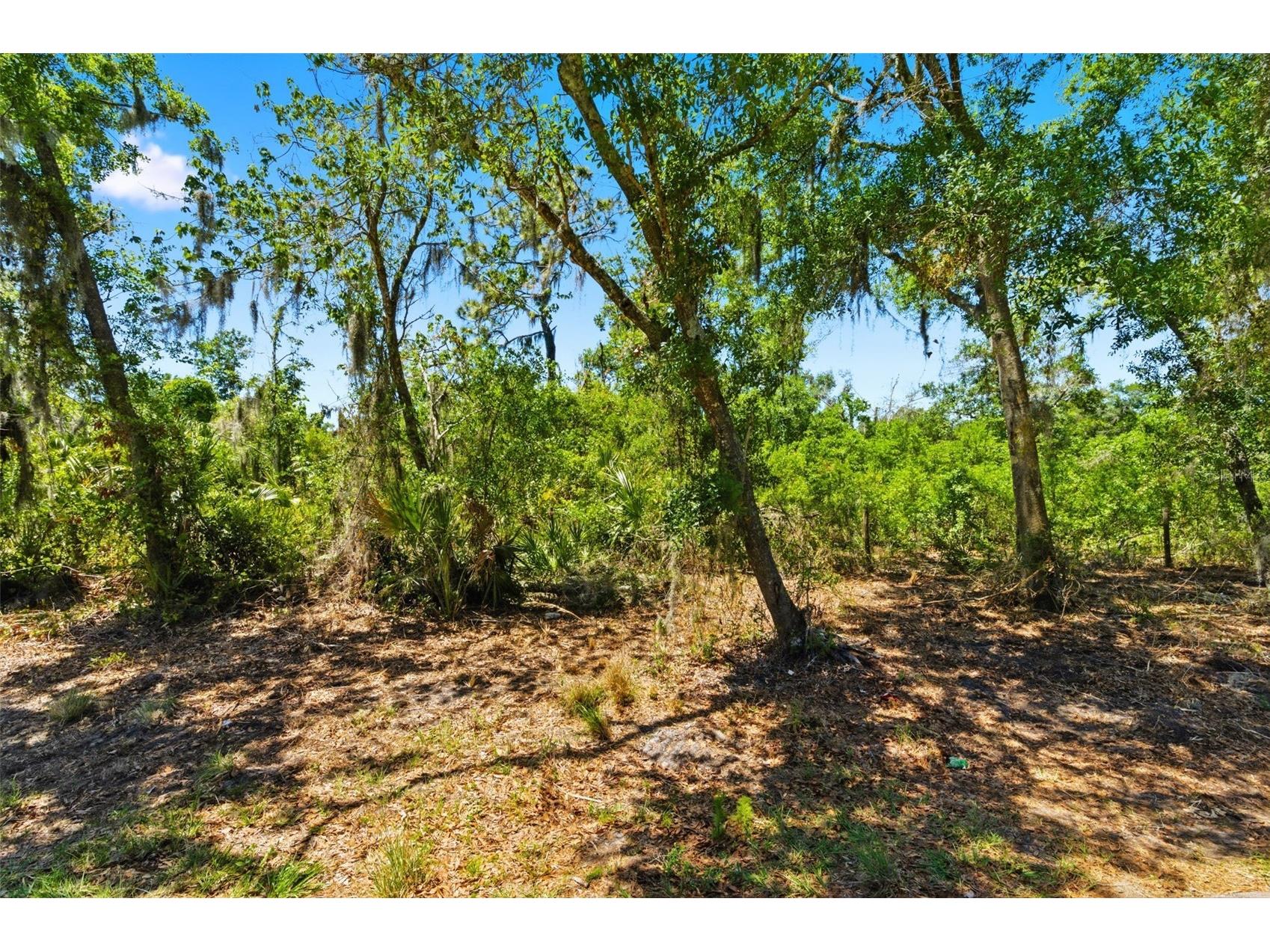 19084 Red Bird Lane #LOT 1 Lithia FL 33547 TB8499517 image6