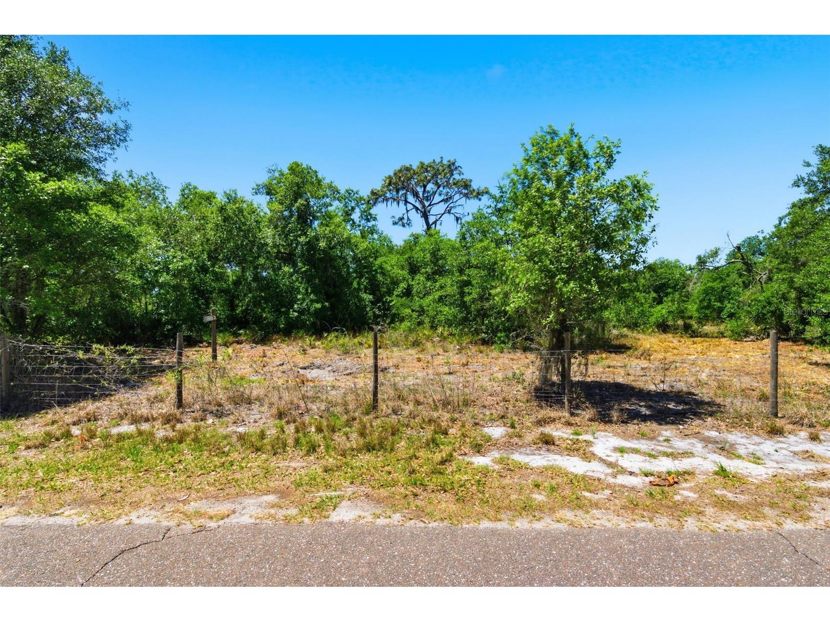 19084 Red Bird Lane #LOT 2 Lithia FL 33547 TB8499520 image5