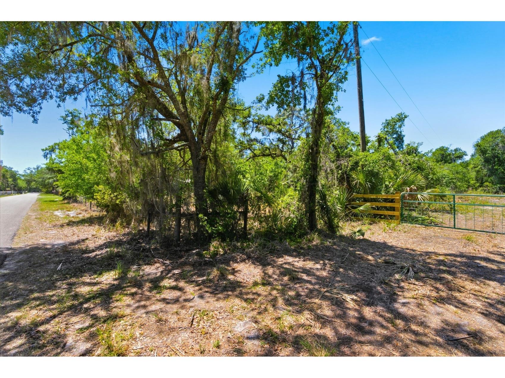19084 Red Bird Lane #LOT 2 Lithia FL 33547 TB8499520 image6
