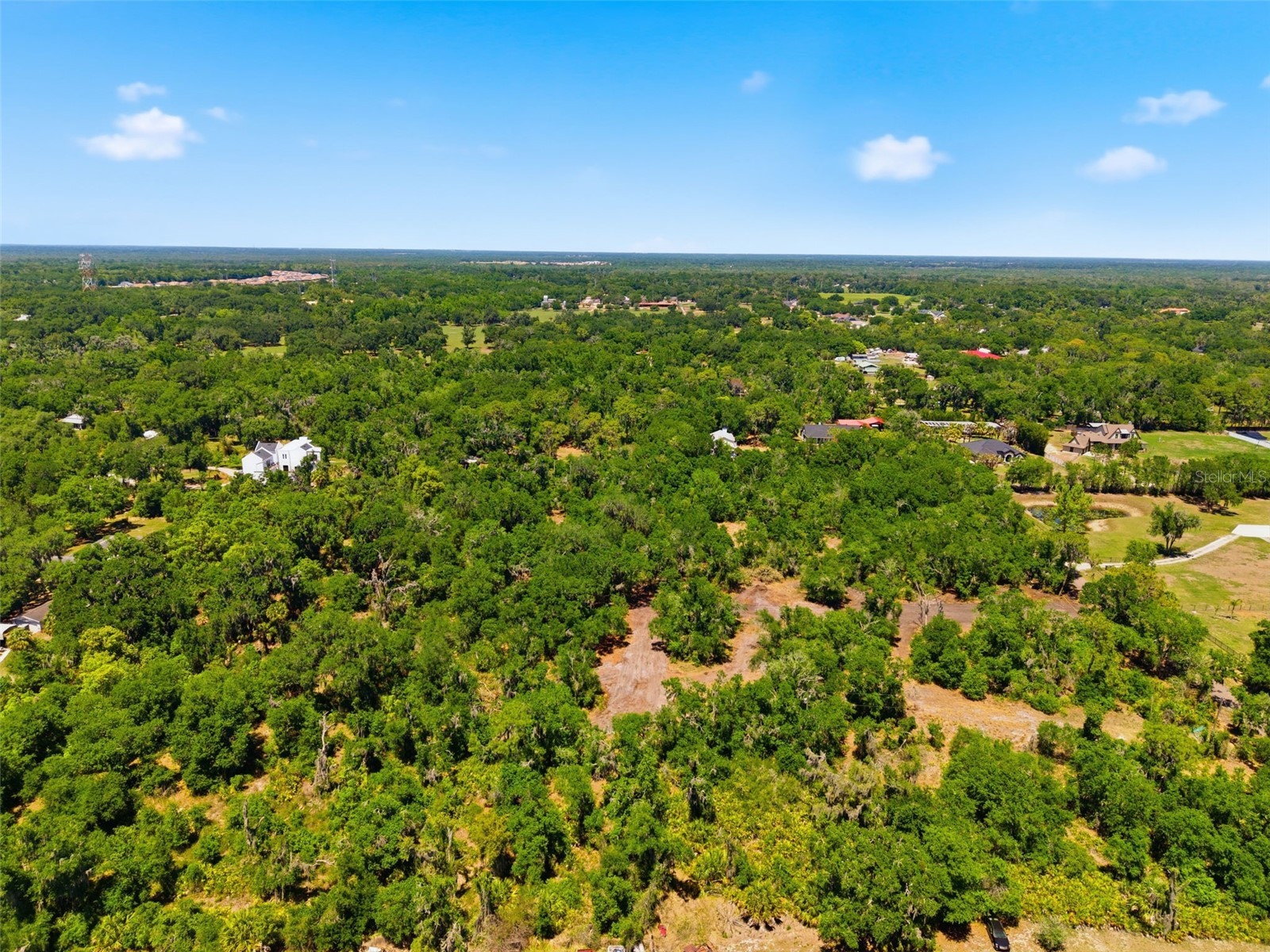 19084 Red Bird Lane #LOT 4 Lithia FL 33547 TB8499530 image17