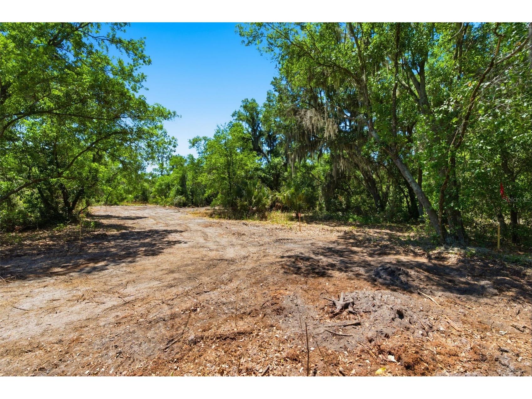 19084 Red Bird Lane #LOT 4 Lithia FL 33547 TB8499530 image5